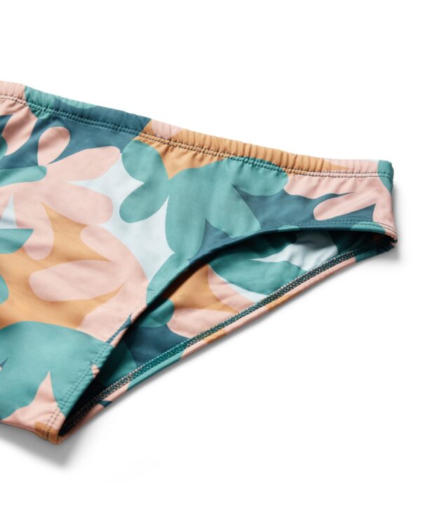 dandy del swim brief